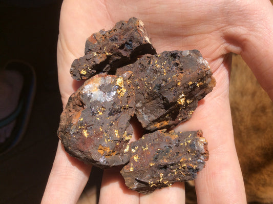 Gold prospecting resources