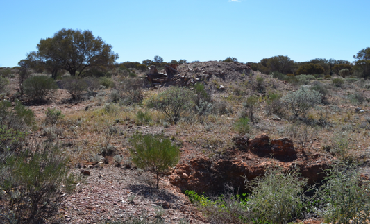 Introduction to gold indicators in Western Australia