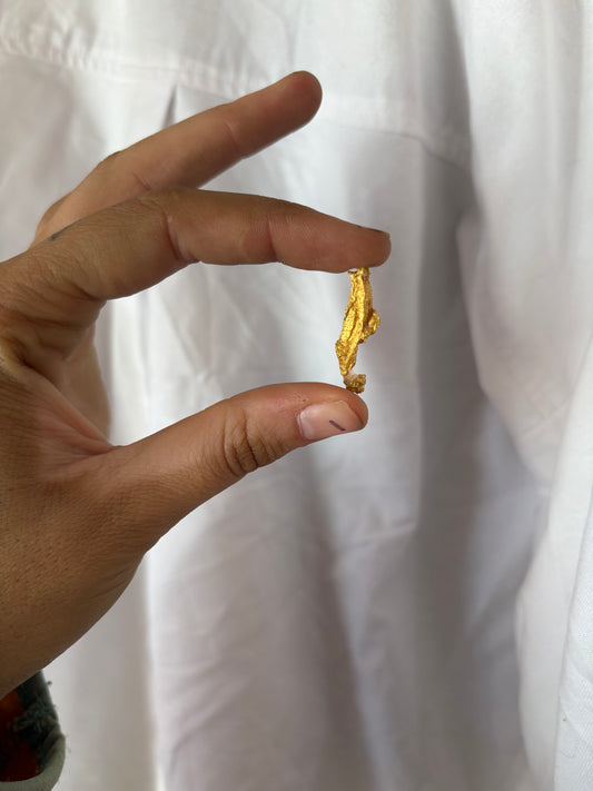 4.5g Natural Gold Nugget - Seahorse