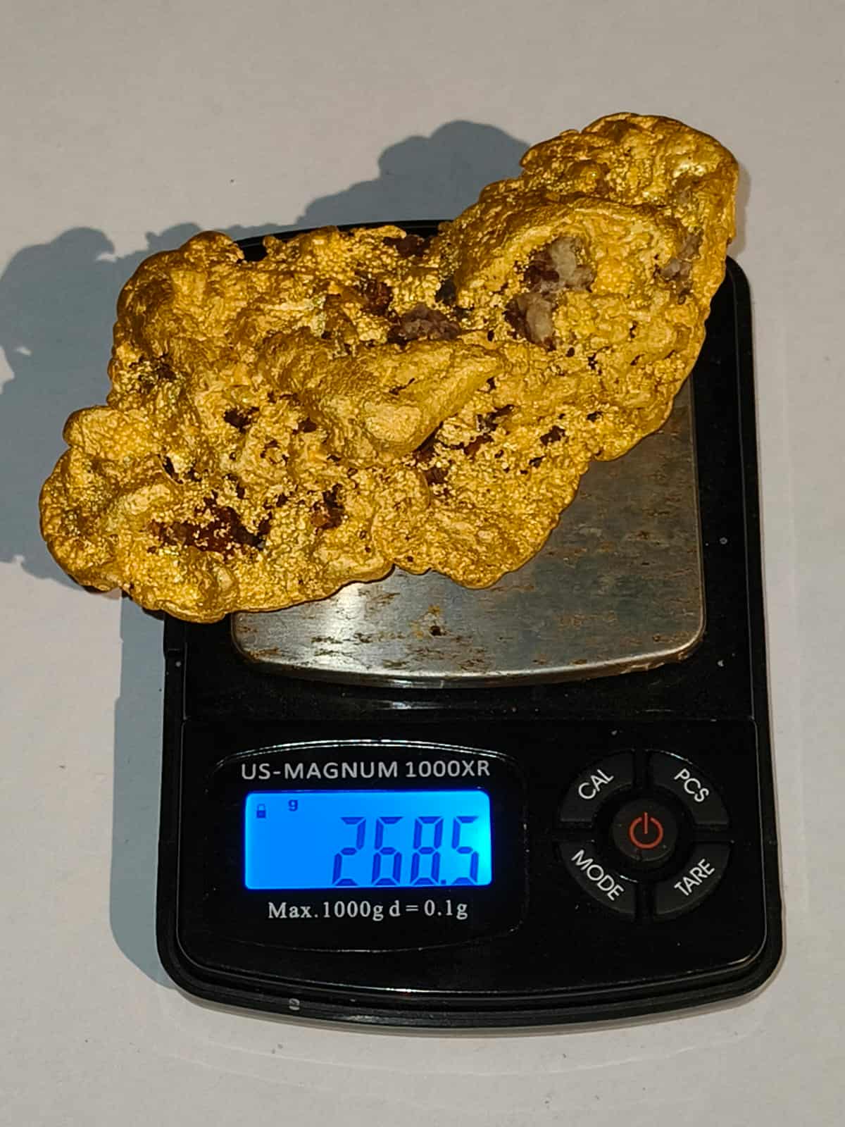 268 Gram (8.6 oz) Monster Murchison Gold Nugget