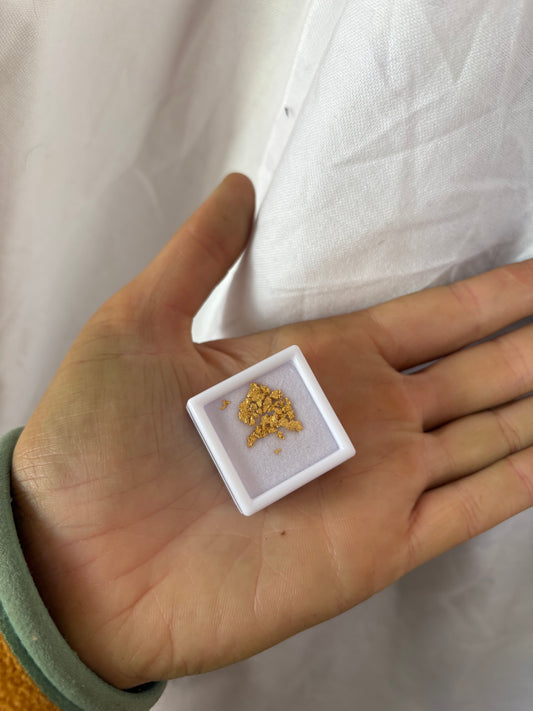 1g Natural Gold Nugget Parcel
