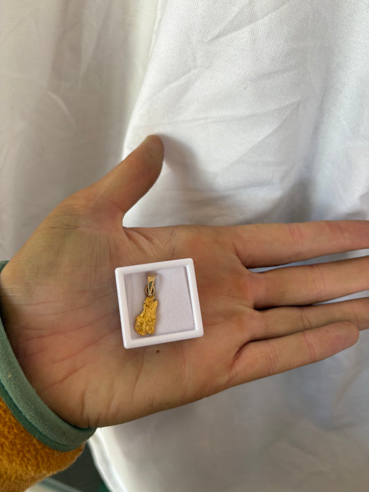 3.1g Natural Gold Nugget Pendant