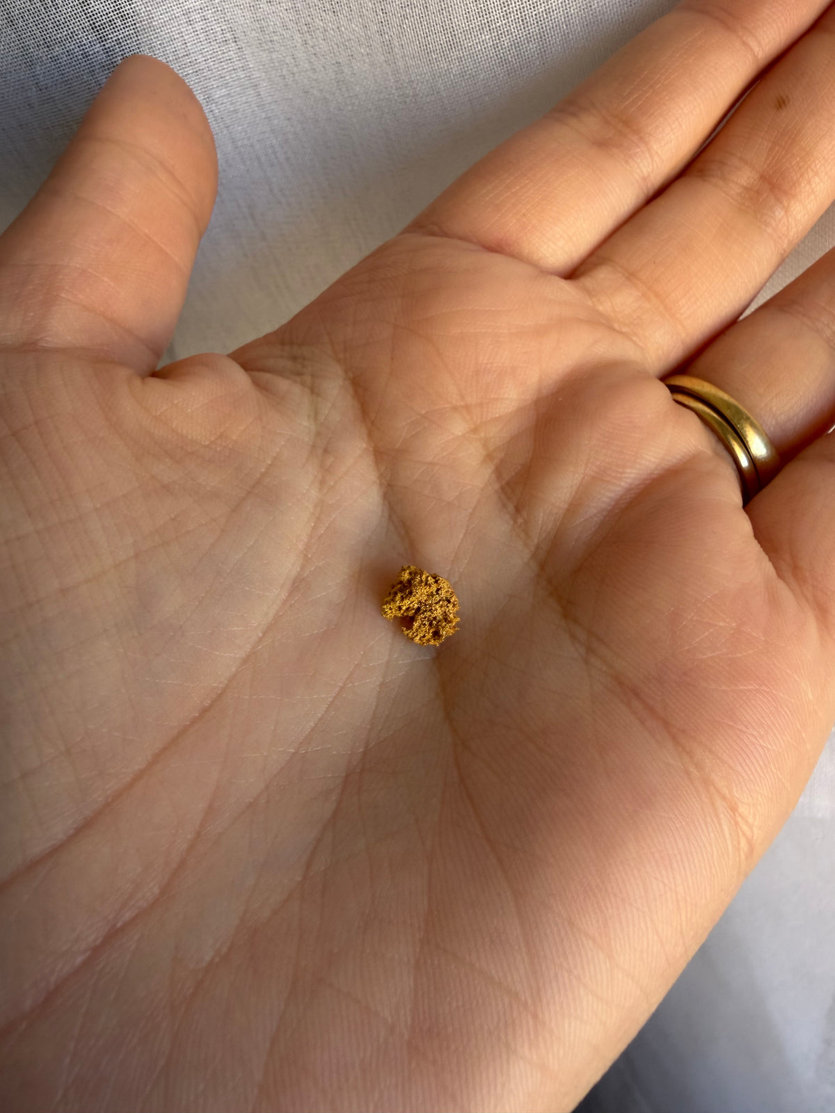 0.49 grams Natural Gold Nugget - September drop