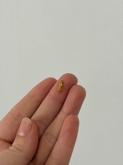 0.25 grams Natural Gold Nugget - October drop