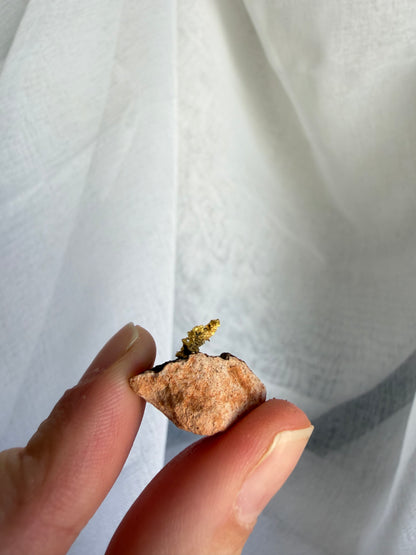 5.49 grams Natural Gold Nugget - August 2.0 drop