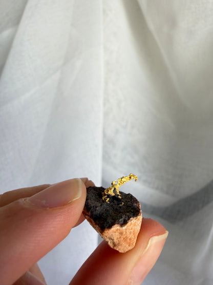 5.49 grams Natural Gold Nugget - August 2.0 drop