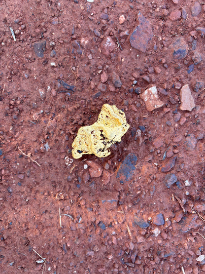 83 gram (2.6 oz) Natural Gold Nugget - The Red Dirt Relic