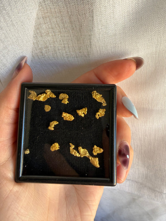 5 gram parcels - August 2.0 drop
