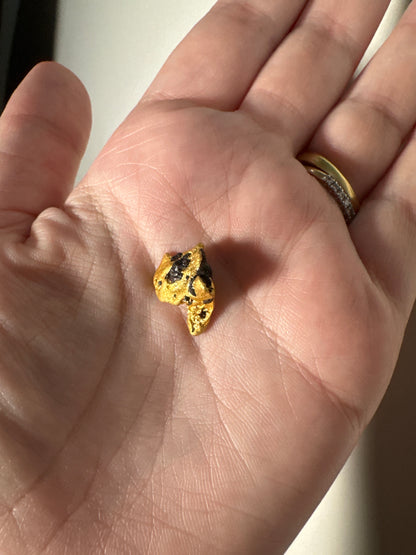 5.6 Gram Natural Gold Nugget - Total Weight 6.64g