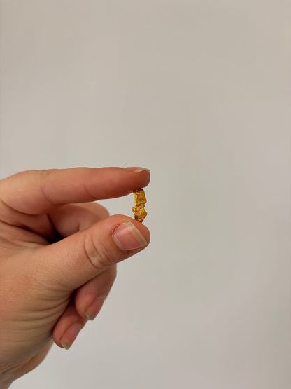 1.72 grams Natural Gold Nugget - October drop