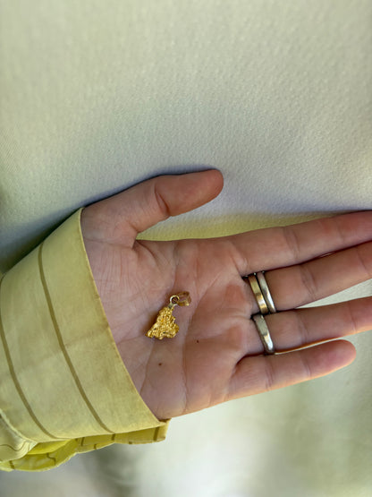3.9 gram Natural Gold Nugget Pendant