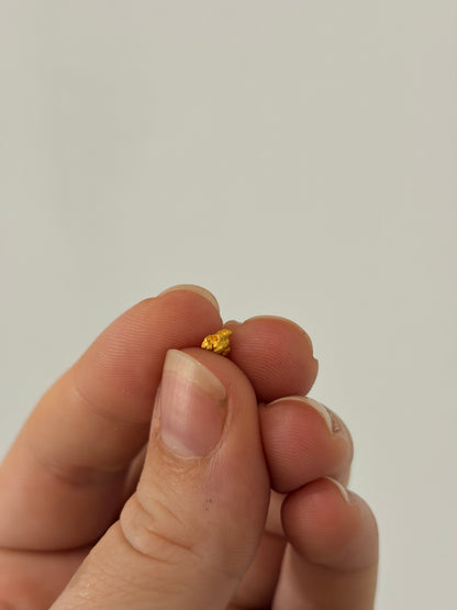 0.16 grams Natural Gold Nugget - October drop