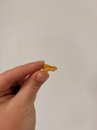 1.4 grams Natural Gold Nugget - October drop