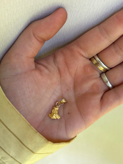 2 gram Natural Gold Nugget Pendant