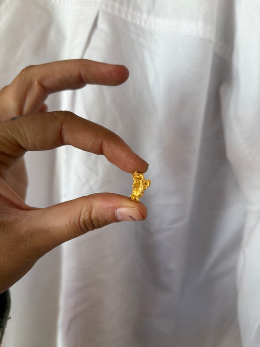 3.2g Natural Gold Nugget