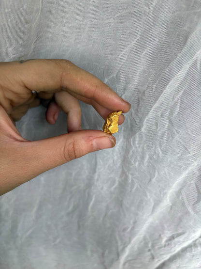 5.4 gram Hopper Crystalline Gold Nugget