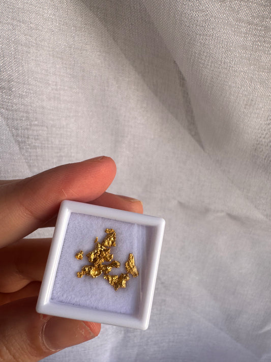 1 gram Natural Gold Nugget Parcel