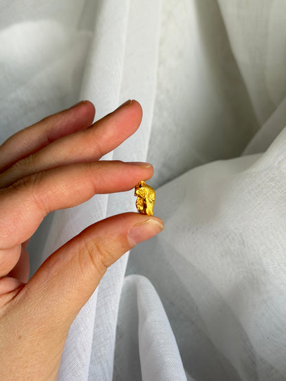 4.8 grams Natural Gold Nugget - August 2.0 drop