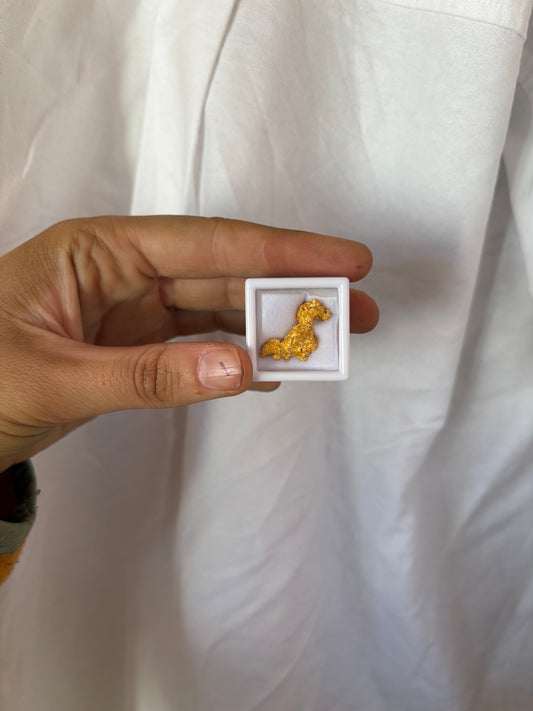 6.5g Natural Gold Nugget - “This Golden Duck Doesn’t Give a Fuck”