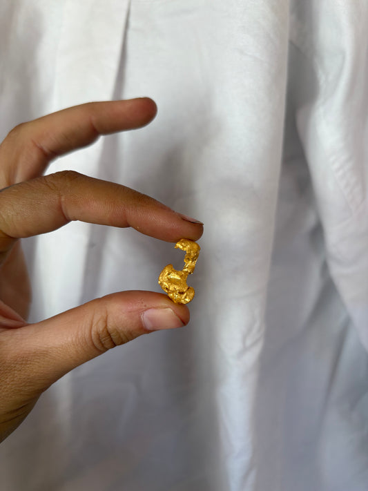 5.9g Natural Gold Nugget - The Claw