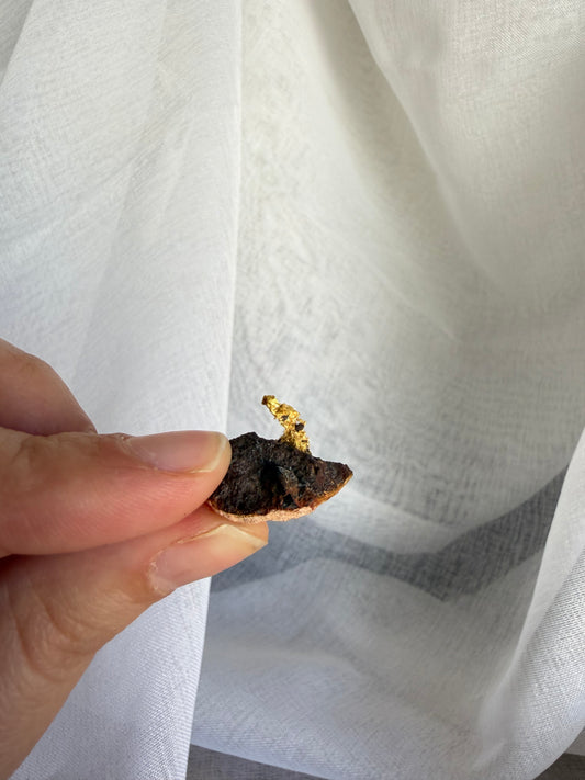 5.49 grams Natural Gold Nugget - August 2.0 drop