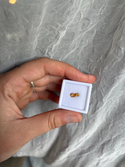 0.49g Natural Gold Nugget