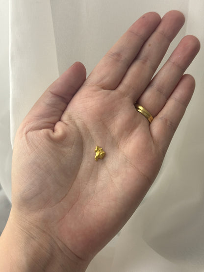 0.79 Gram Natural Gold Nugget