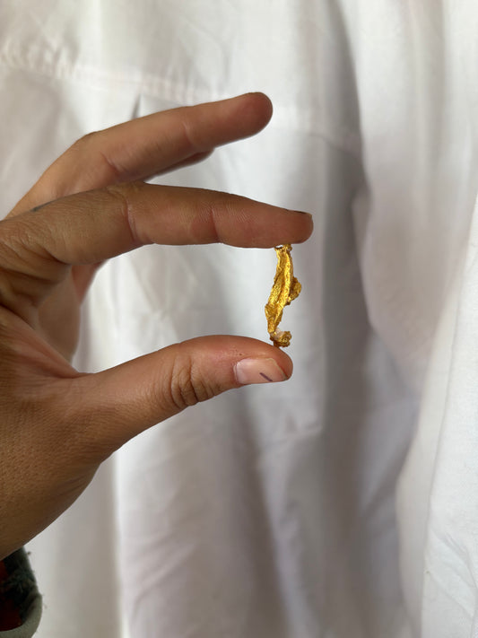 4.5g Natural Gold Nugget - Seahorse