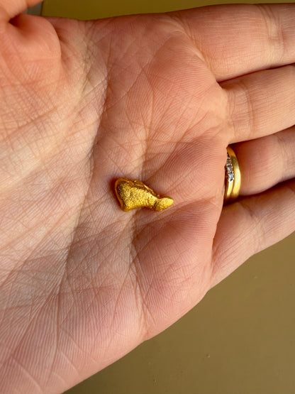 3.5 grams Natural Gold Nugget - August 2.0 drop