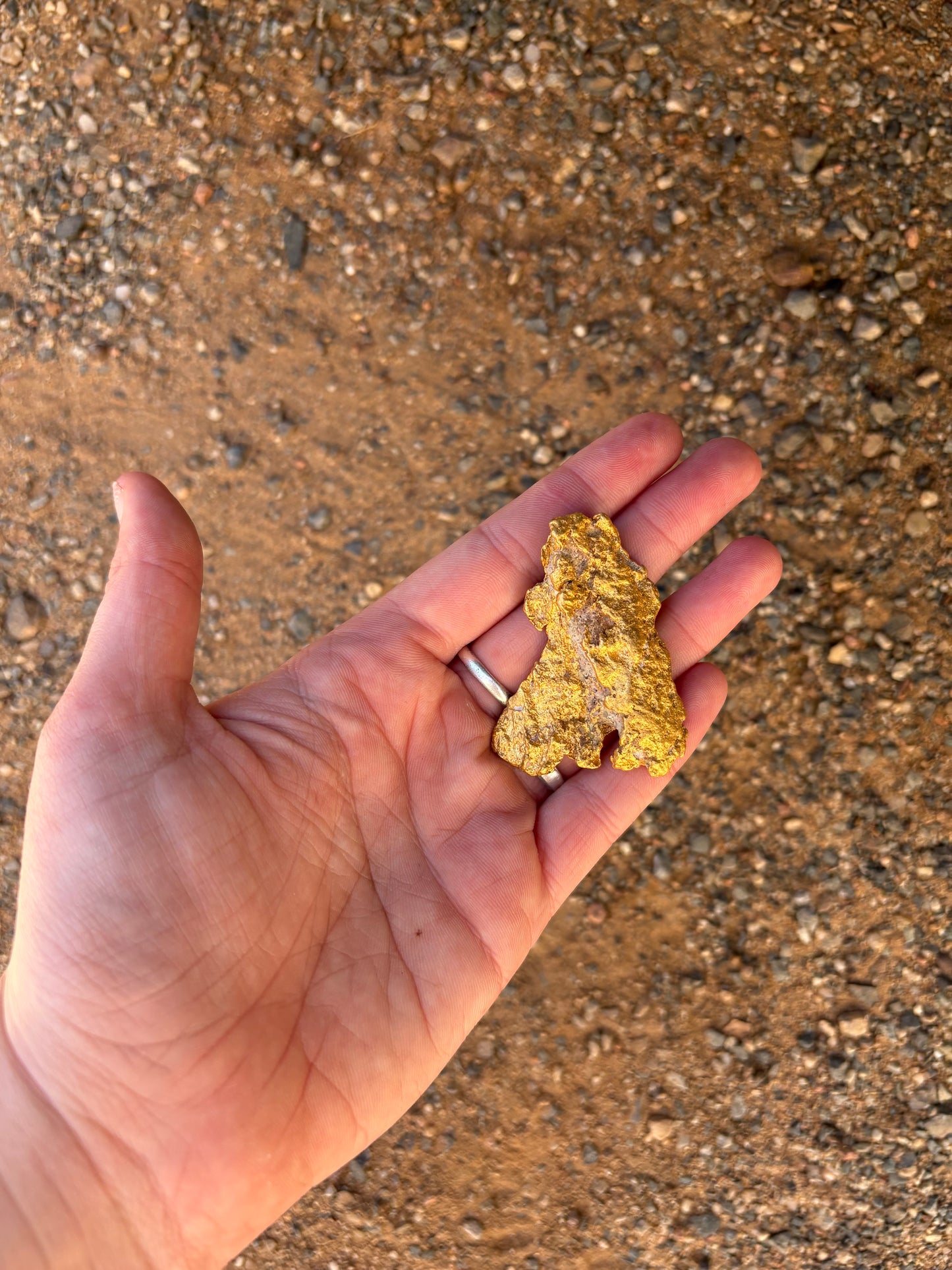 80 grams (2.5 oz) Large Kalgoorlie Gold Nugget - Golden Coast