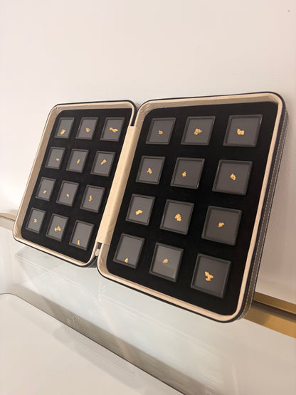 Limited Edition 20 gram Fully Loaded Gold Case - October drop