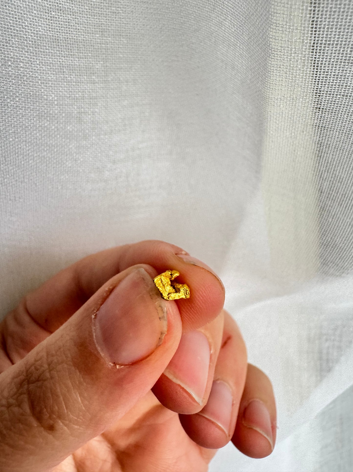 0.3 gram Natural Gold Nugget - August drop