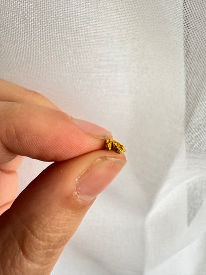 0.3 gram Natural Gold Nugget - August drop