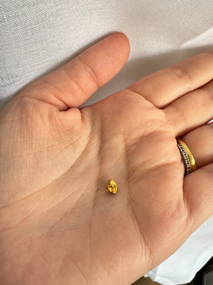 0.3 gram Natural Gold Nugget - August drop