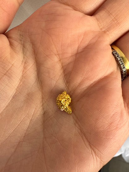 1.1 gram Natural Gold Nugget - August drop