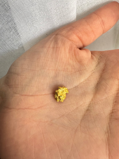 2 grams Natural Gold Nugget - August drop