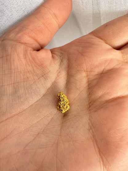 1.3 grams Natural Gold Nugget - August drop