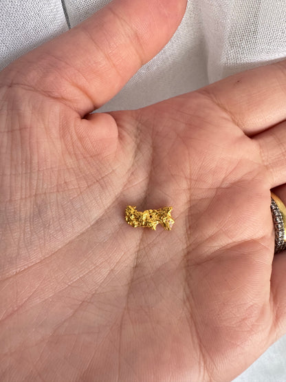 1.5 gram Natural Gold Nugget - August Drop