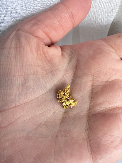 2.2 gram Natural Gold Nugget - August Drop