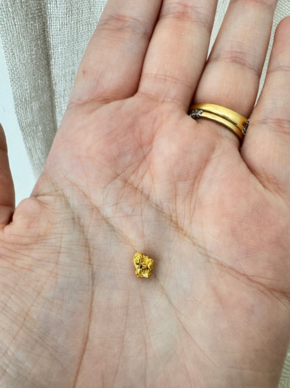 0.7 gram Natural Gold Nugget - August Drop
