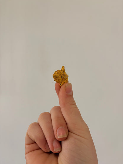 20.31 grams Natural Gold Nugget - October drop