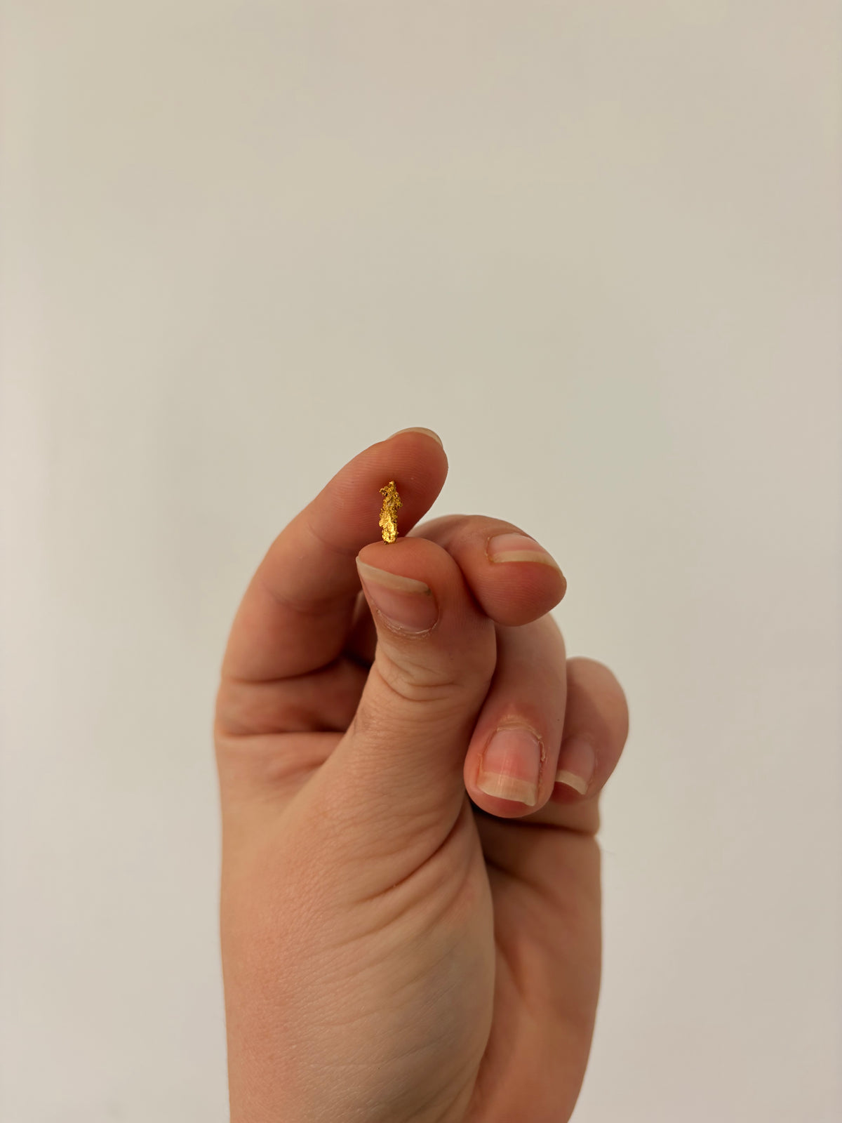 0.25 grams Natural Gold Nugget - October drop