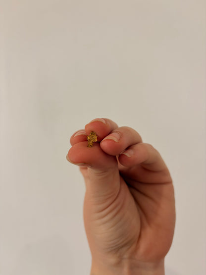 0.14 grams Natural Gold Nugget - October drop